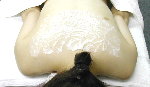 back5.jpg
